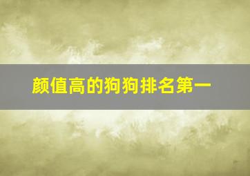 颜值高的狗狗排名第一