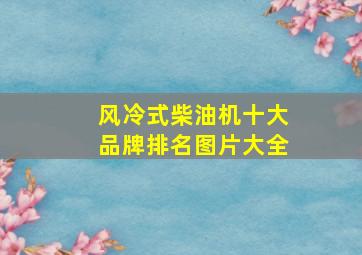 风冷式柴油机十大品牌排名图片大全