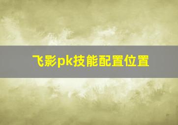 飞影pk技能配置位置