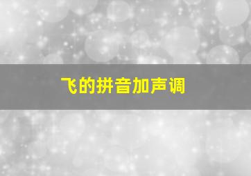 飞的拼音加声调