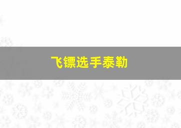 飞镖选手泰勒