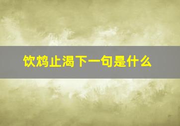 饮鸩止渴下一句是什么