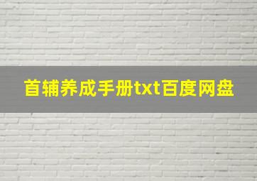 首辅养成手册txt百度网盘