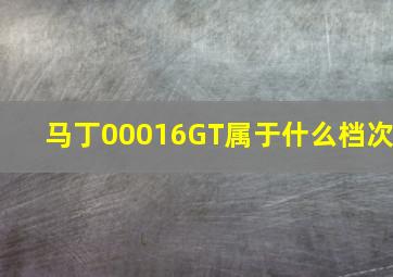 马丁00016GT属于什么档次