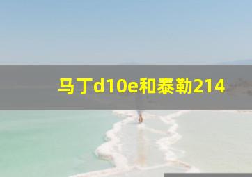 马丁d10e和泰勒214