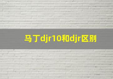 马丁djr10和djr区别