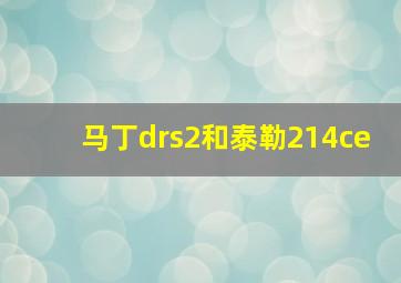 马丁drs2和泰勒214ce