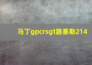 马丁gpcrsgt跟泰勒214