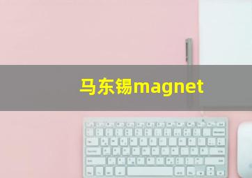 马东锡magnet