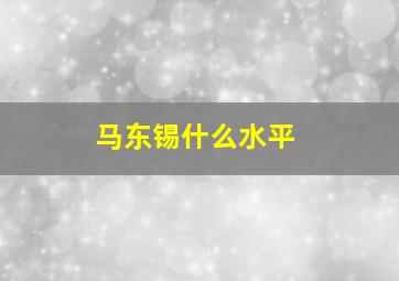 马东锡什么水平