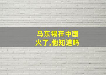 马东锡在中国火了,他知道吗