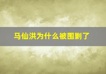 马仙洪为什么被围剿了