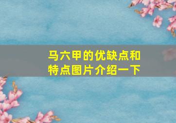 马六甲的优缺点和特点图片介绍一下