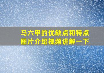 马六甲的优缺点和特点图片介绍视频讲解一下