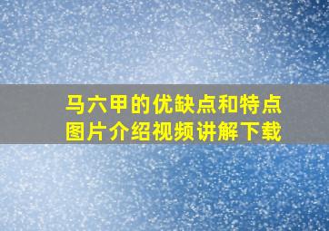 马六甲的优缺点和特点图片介绍视频讲解下载