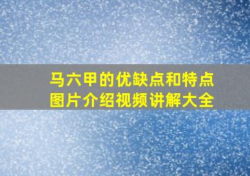 马六甲的优缺点和特点图片介绍视频讲解大全