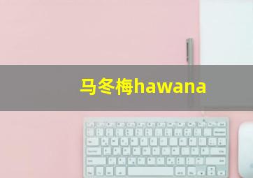 马冬梅hawana