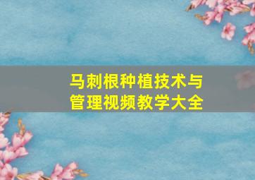 马刺根种植技术与管理视频教学大全