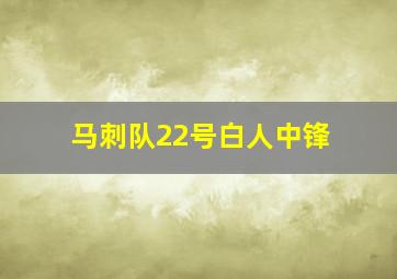 马刺队22号白人中锋