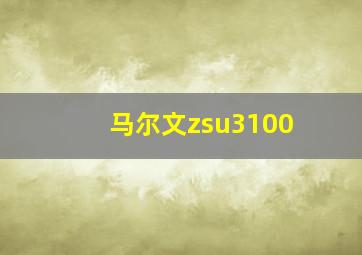 马尔文zsu3100