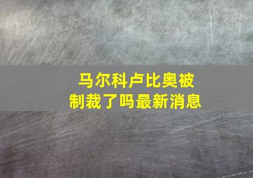 马尔科卢比奥被制裁了吗最新消息