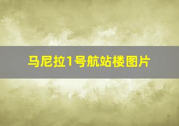 马尼拉1号航站楼图片