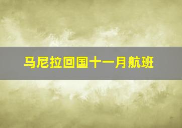 马尼拉回国十一月航班