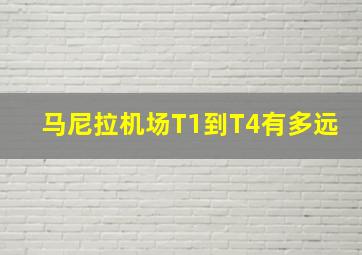 马尼拉机场T1到T4有多远