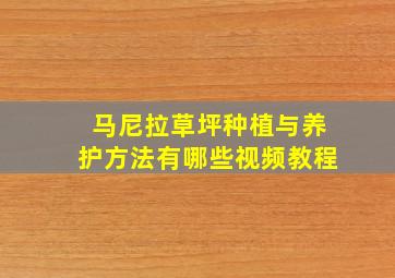 马尼拉草坪种植与养护方法有哪些视频教程