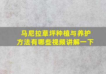 马尼拉草坪种植与养护方法有哪些视频讲解一下