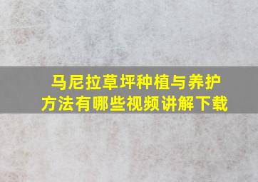 马尼拉草坪种植与养护方法有哪些视频讲解下载