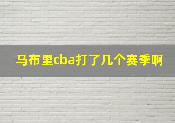 马布里cba打了几个赛季啊