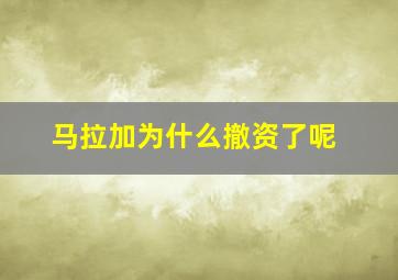 马拉加为什么撤资了呢