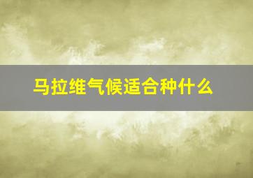 马拉维气候适合种什么