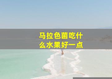 马拉色菌吃什么水果好一点