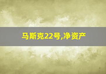 马斯克22号,净资产