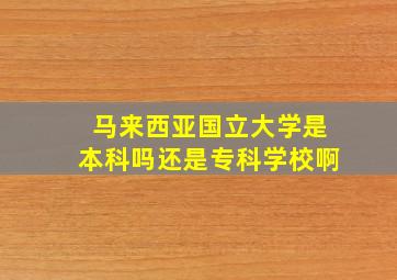 马来西亚国立大学是本科吗还是专科学校啊