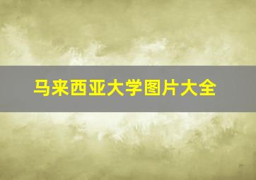 马来西亚大学图片大全