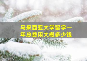 马来西亚大学留学一年总费用大概多少钱