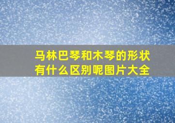 马林巴琴和木琴的形状有什么区别呢图片大全