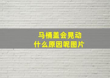 马桶盖会晃动什么原因呢图片