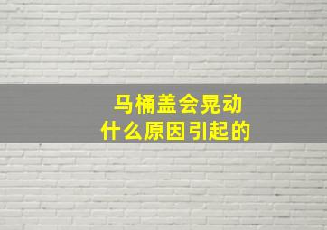 马桶盖会晃动什么原因引起的