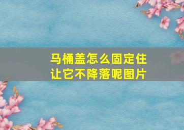 马桶盖怎么固定住让它不降落呢图片