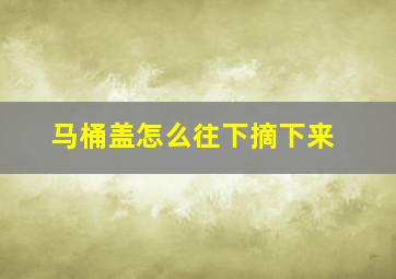 马桶盖怎么往下摘下来