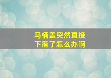 马桶盖突然直接下落了怎么办啊