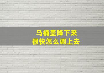 马桶盖降下来很快怎么调上去