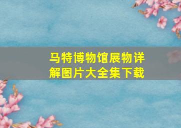 马特博物馆展物详解图片大全集下载