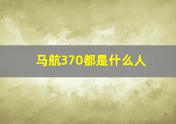 马航370都是什么人