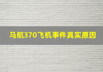 马航370飞机事件真实原因