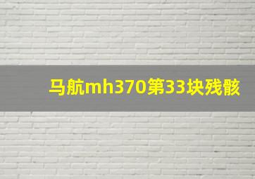 马航mh370第33块残骸